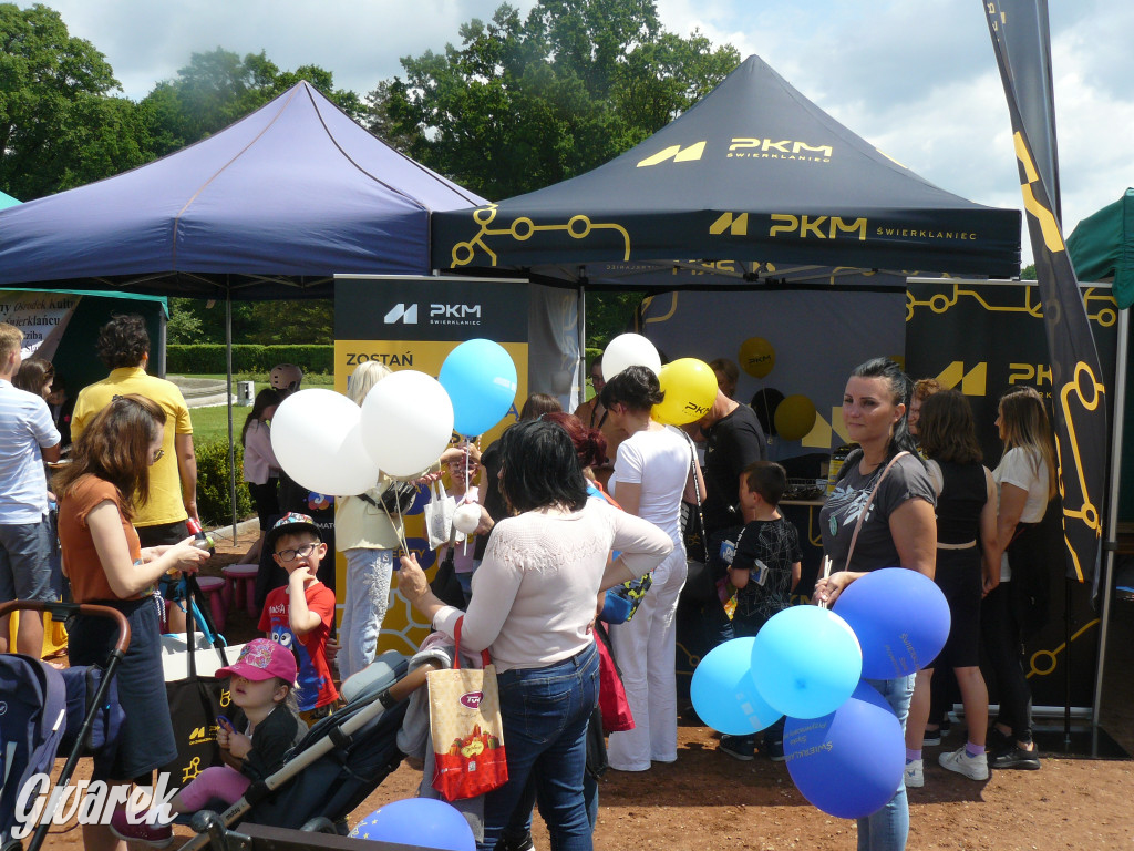 Zielony piknik w parku w Świerklańcu [FOTO]