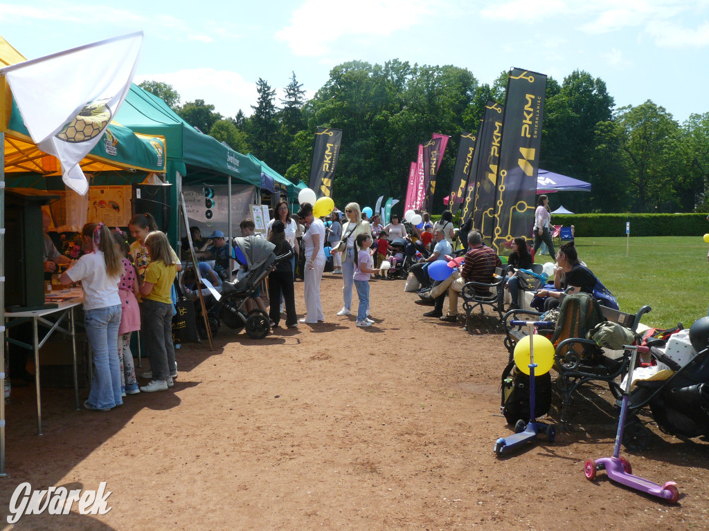 Zielony piknik w parku w Świerklańcu [FOTO]