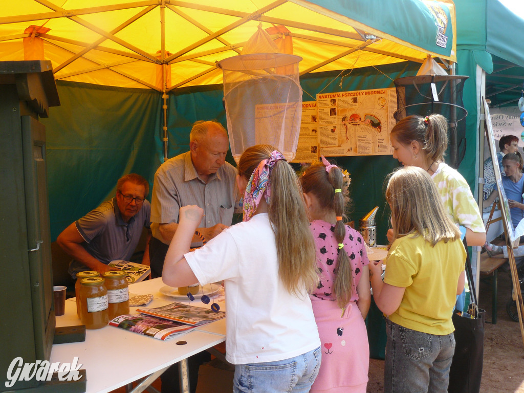 Zielony piknik w parku w Świerklańcu [FOTO]