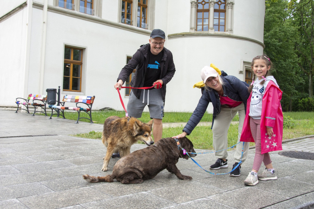 Weekend pod znakiem psów. Spacery i wystawa