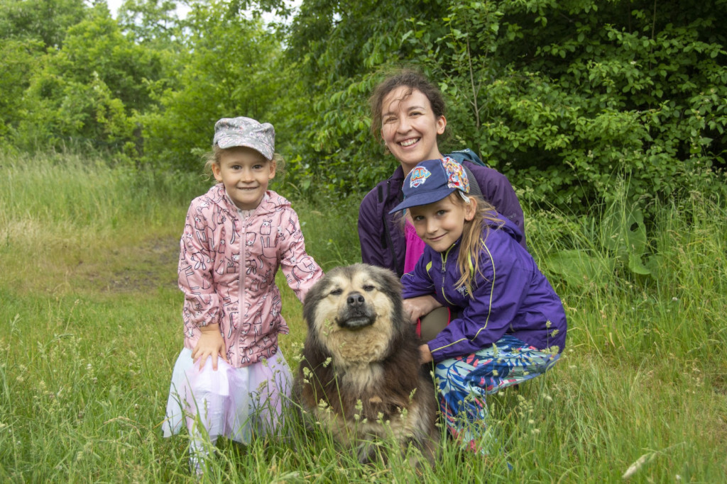 Weekend pod znakiem psów. Spacery i wystawa