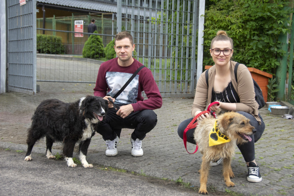 Weekend pod znakiem psów. Spacery i wystawa