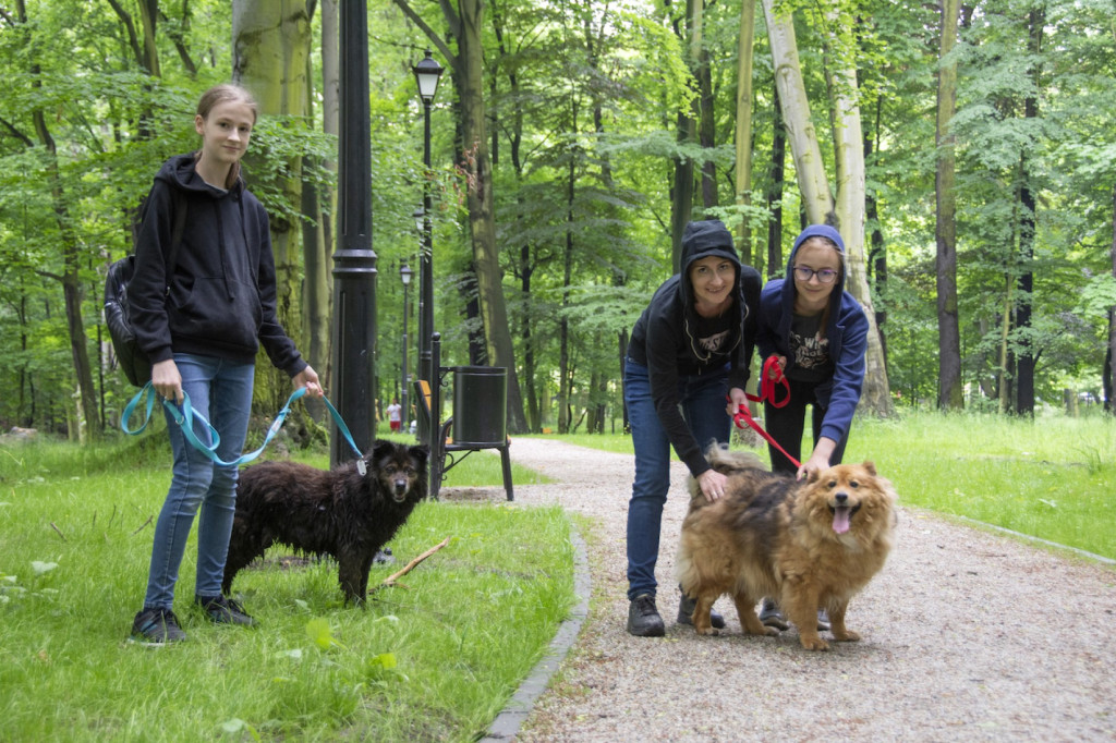 Weekend pod znakiem psów. Spacery i wystawa