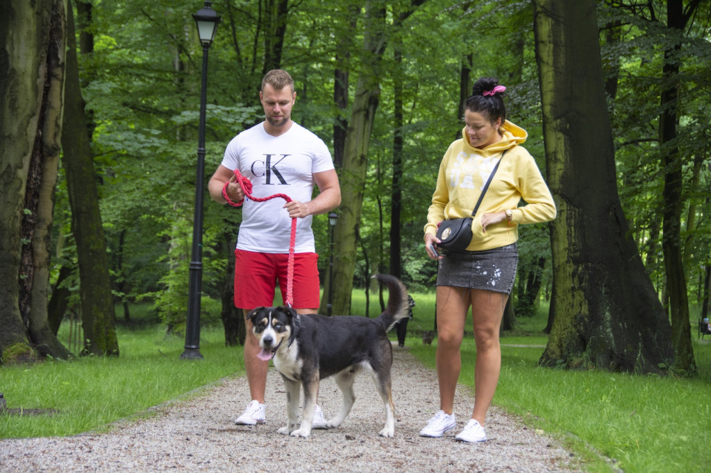 Weekend pod znakiem psów. Spacery i wystawa