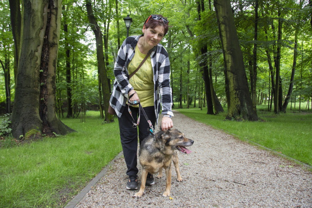 Weekend pod znakiem psów. Spacery i wystawa