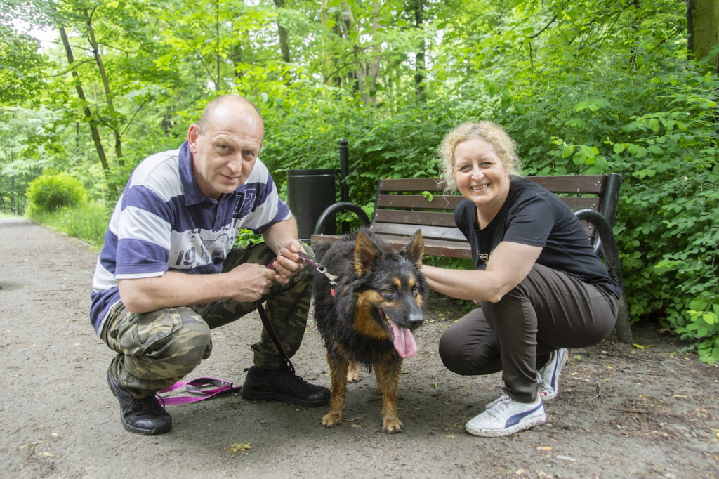 Weekend pod znakiem psów. Spacery i wystawa