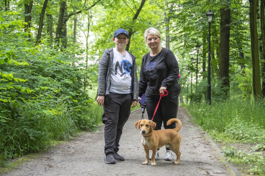 Weekend pod znakiem psów. Spacery i wystawa