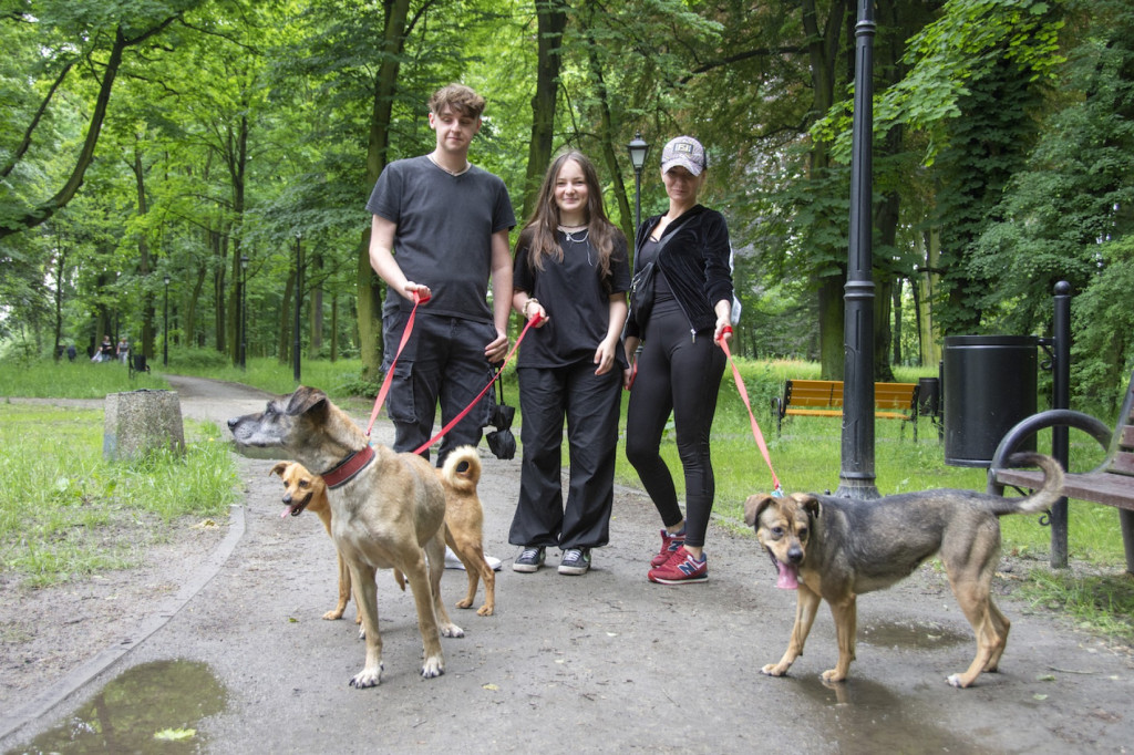 Weekend pod znakiem psów. Spacery i wystawa