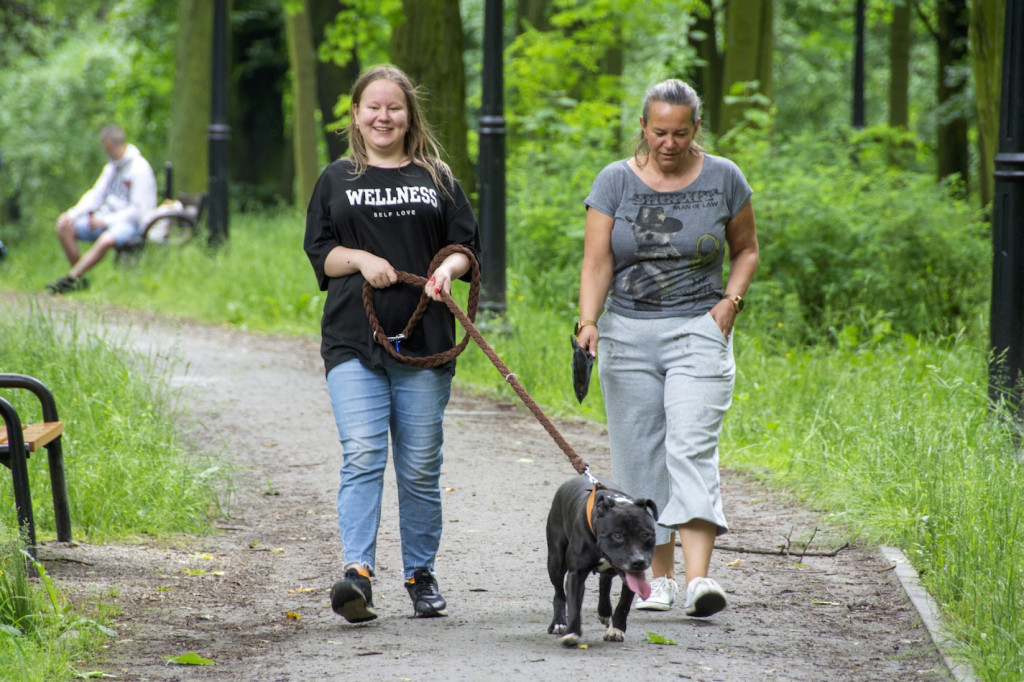 Weekend pod znakiem psów. Spacery i wystawa