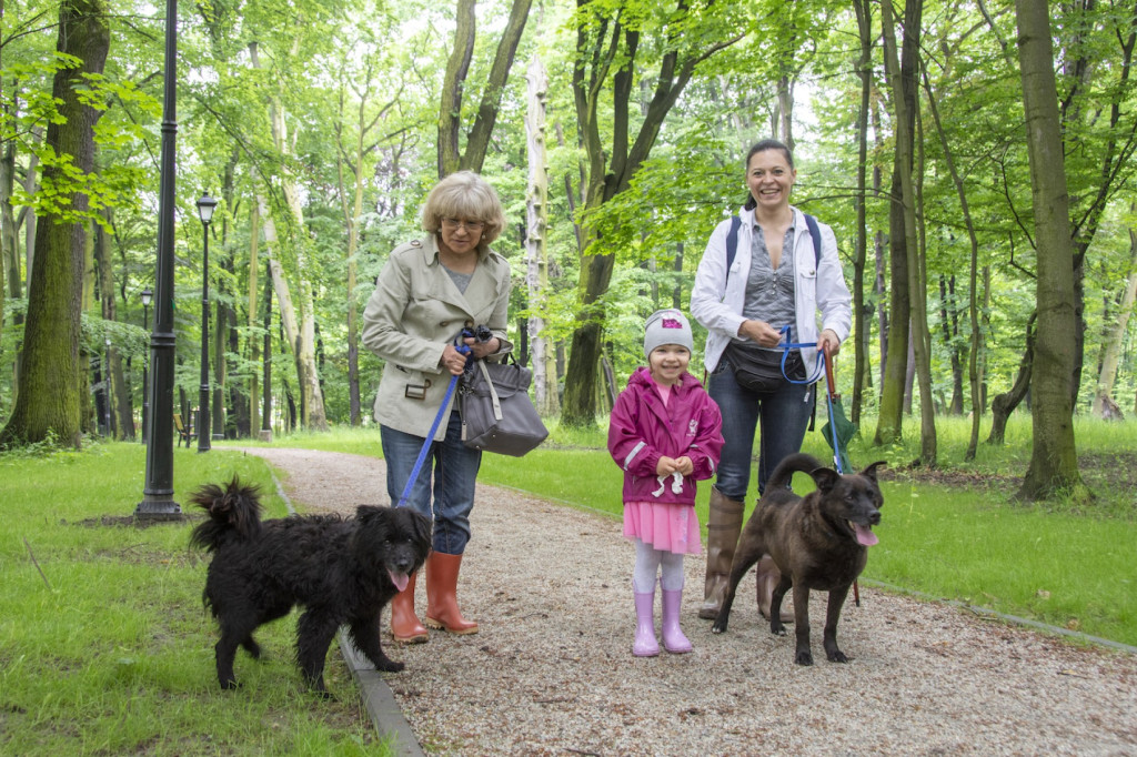 Weekend pod znakiem psów. Spacery i wystawa