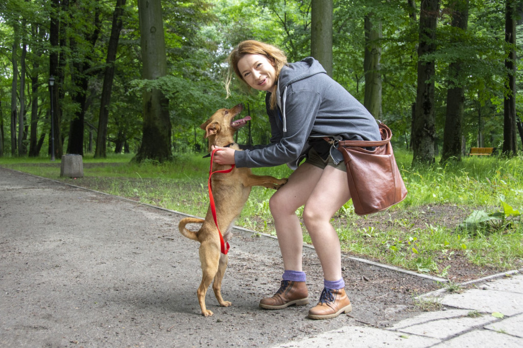 Weekend pod znakiem psów. Spacery i wystawa