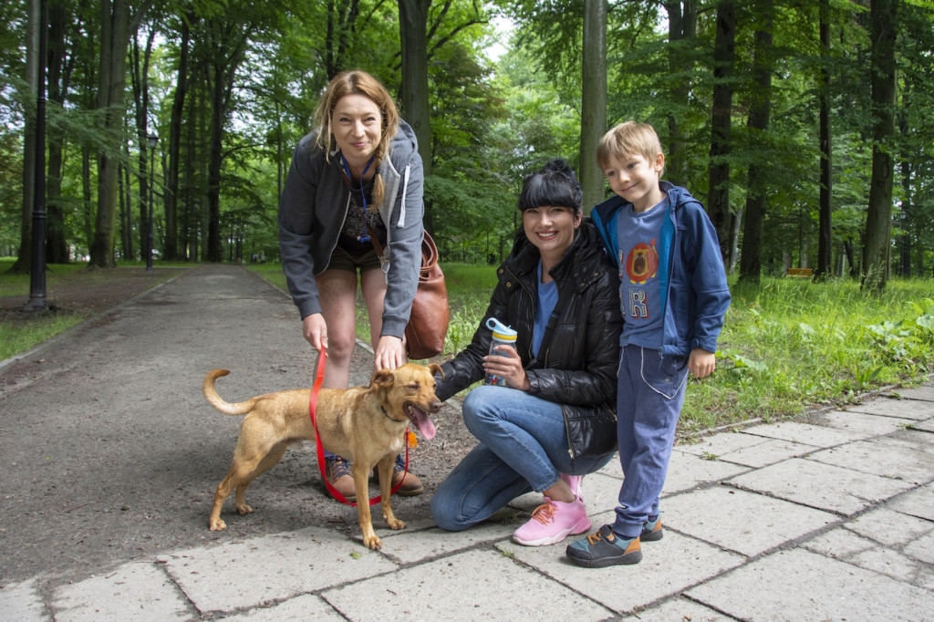 Weekend pod znakiem psów. Spacery i wystawa