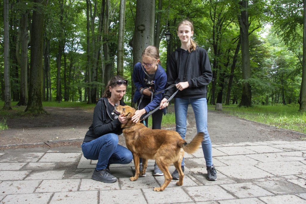 Weekend pod znakiem psów. Spacery i wystawa