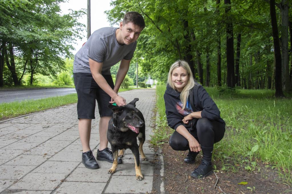 Weekend pod znakiem psów. Spacery i wystawa