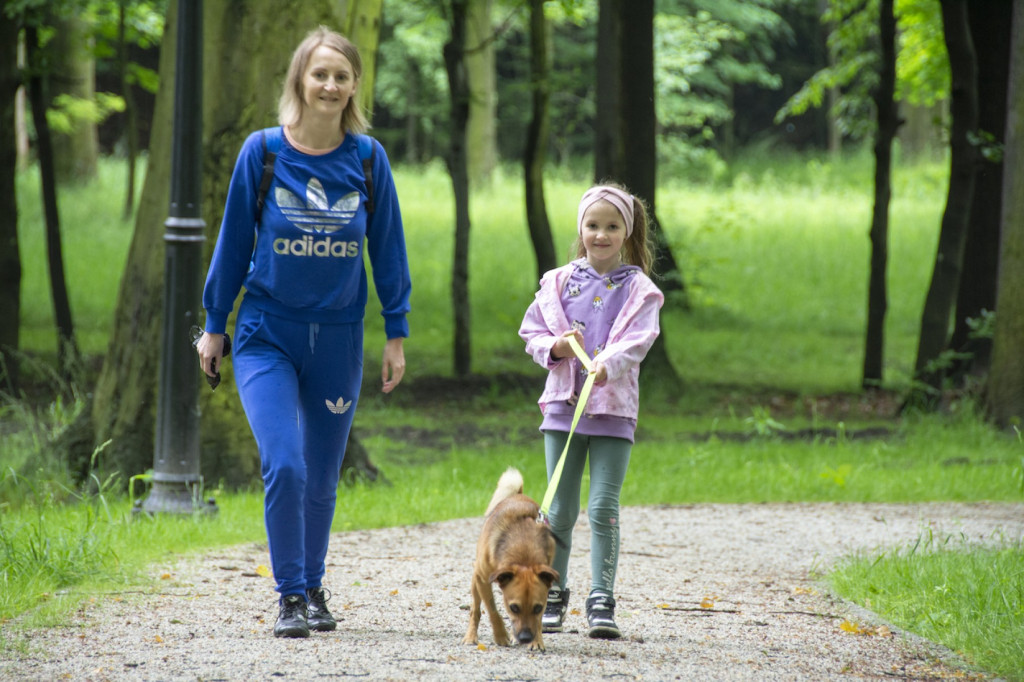 Weekend pod znakiem psów. Spacery i wystawa