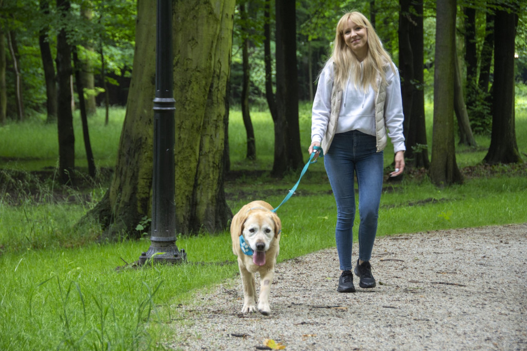 Weekend pod znakiem psów. Spacery i wystawa