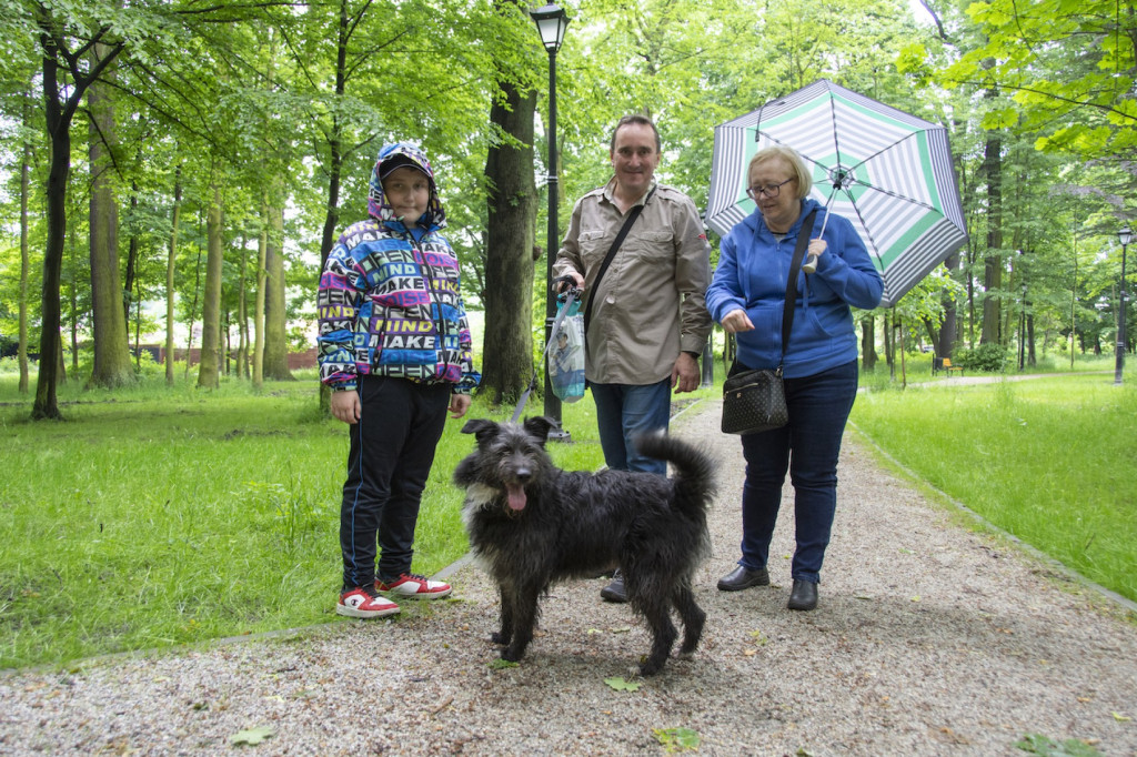 Weekend pod znakiem psów. Spacery i wystawa