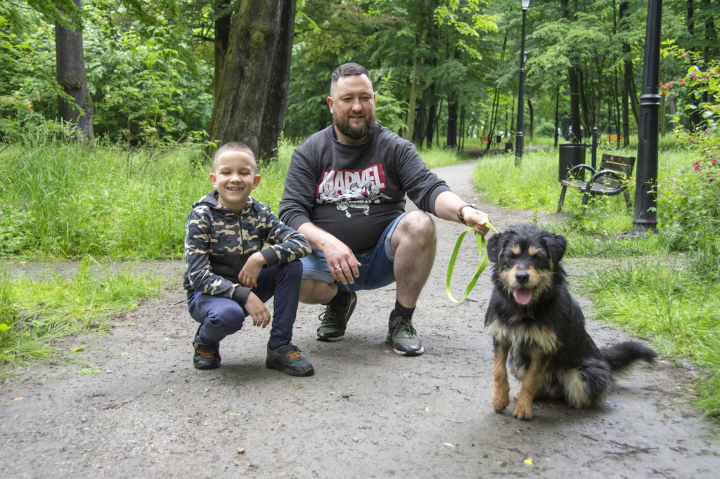 Weekend pod znakiem psów. Spacery i wystawa