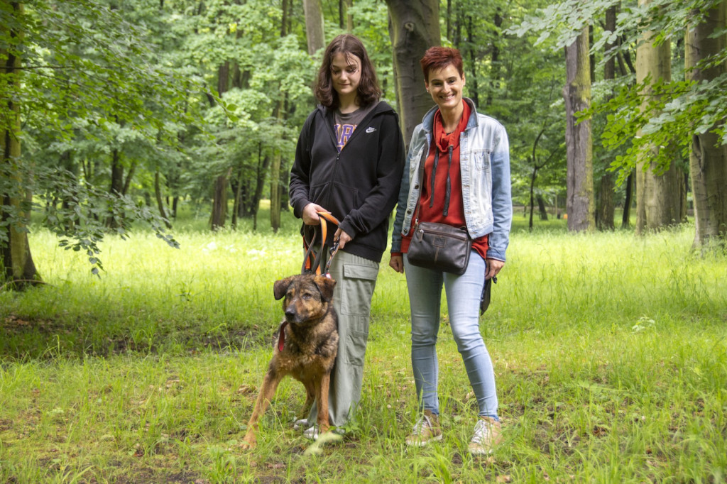 Weekend pod znakiem psów. Spacery i wystawa