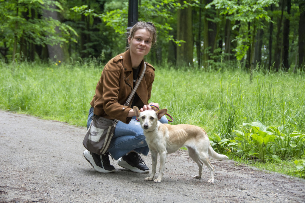 Weekend pod znakiem psów. Spacery i wystawa