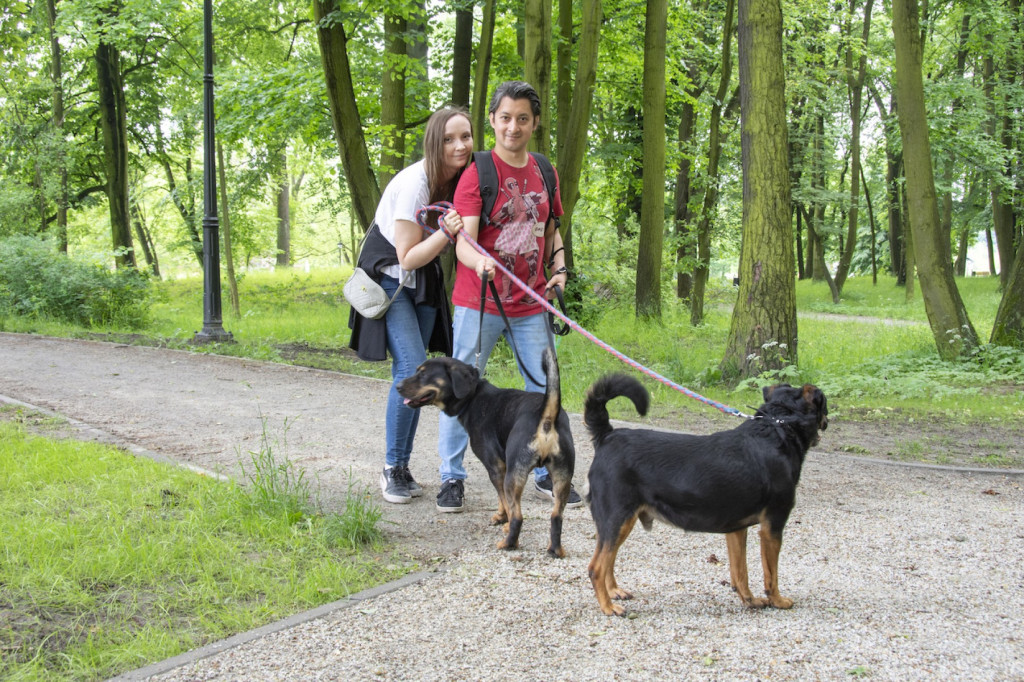Weekend pod znakiem psów. Spacery i wystawa