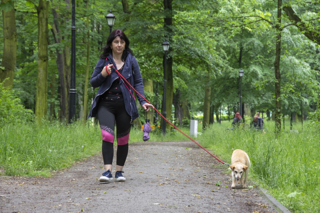 Weekend pod znakiem psów. Spacery i wystawa