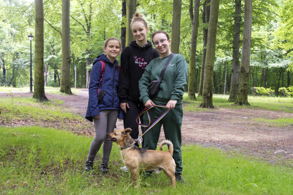 Weekend pod znakiem psów. Spacery i wystawa