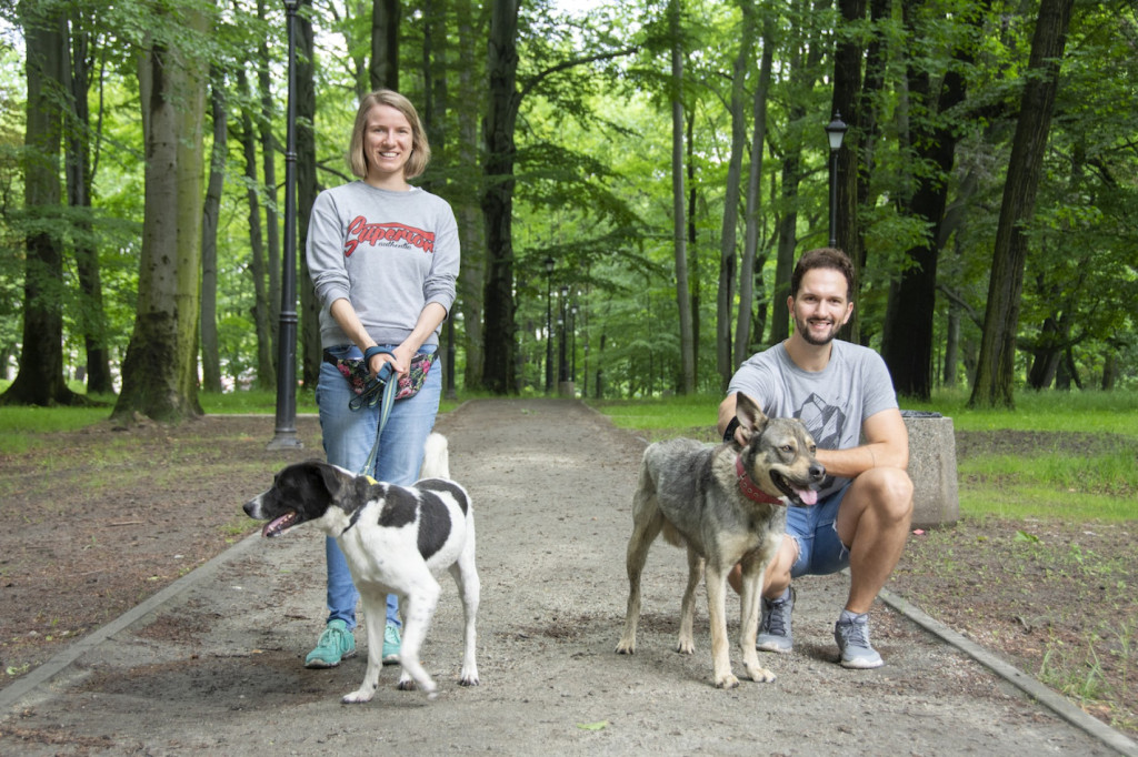 Weekend pod znakiem psów. Spacery i wystawa