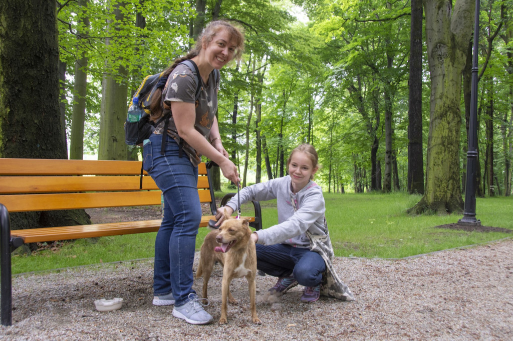 Weekend pod znakiem psów. Spacery i wystawa
