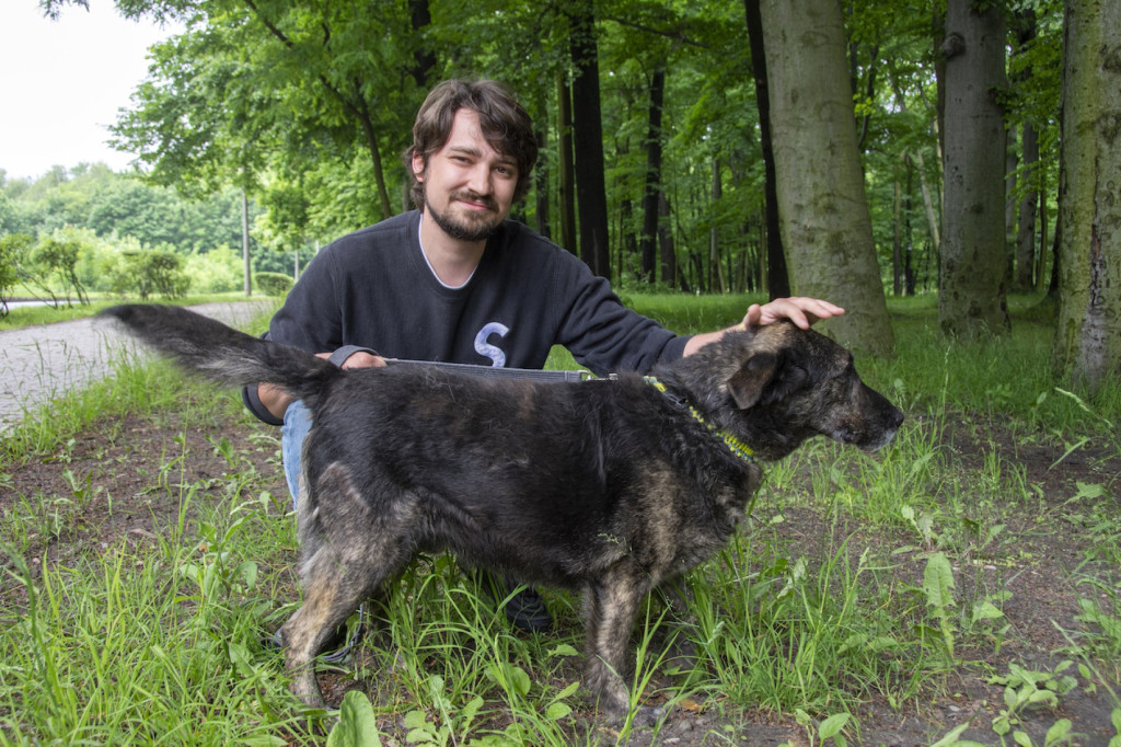 Weekend pod znakiem psów. Spacery i wystawa