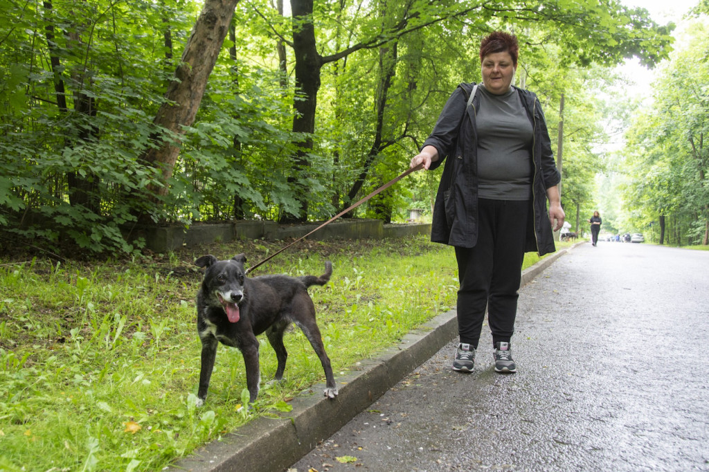 Weekend pod znakiem psów. Spacery i wystawa