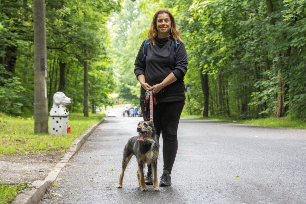 Weekend pod znakiem psów. Spacery i wystawa