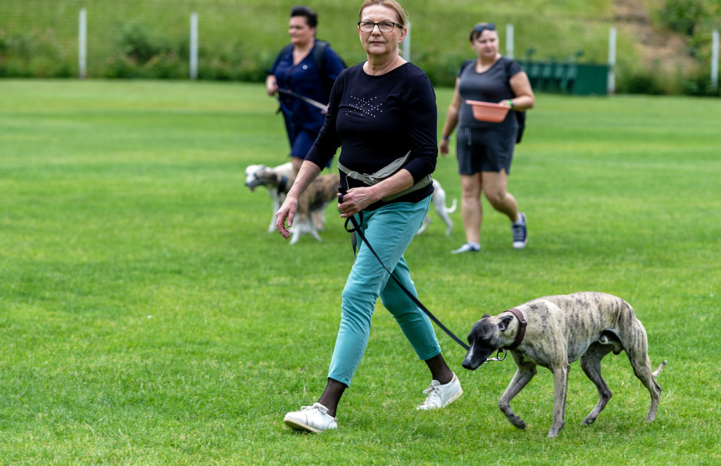 Weekend pod znakiem psów. Spacery i wystawa
