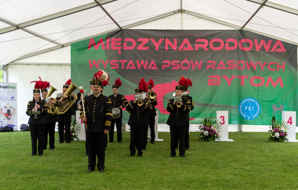 Weekend pod znakiem psów. Spacery i wystawa