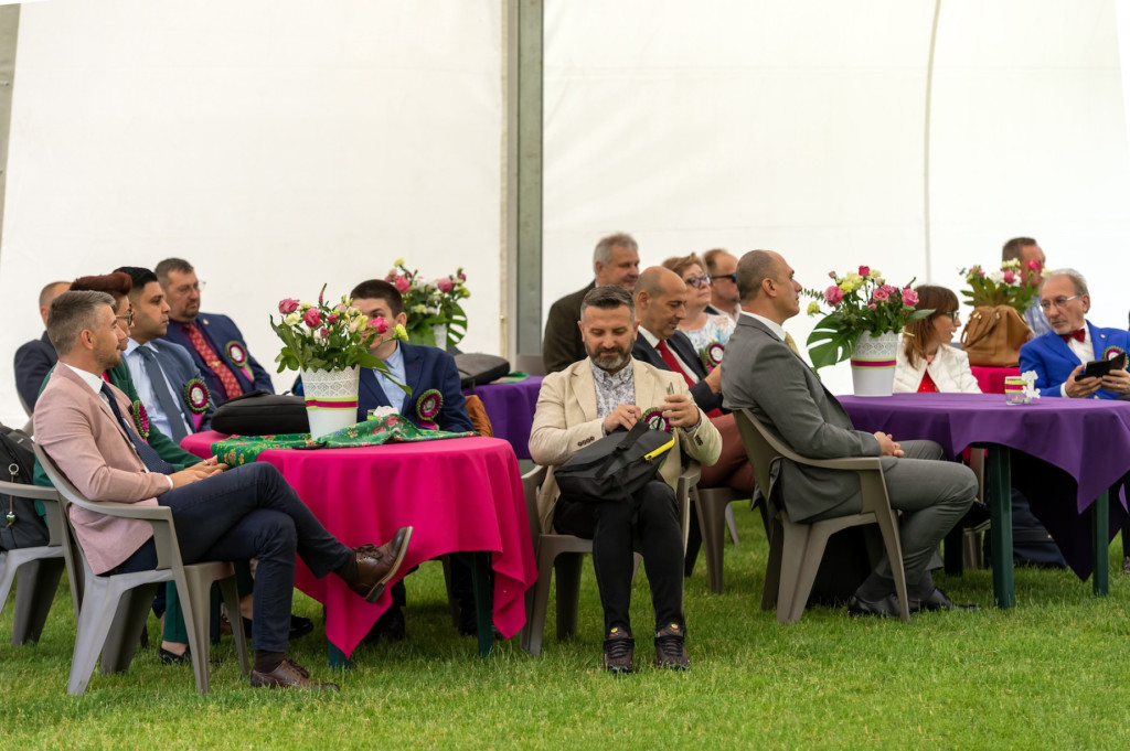 Weekend pod znakiem psów. Spacery i wystawa