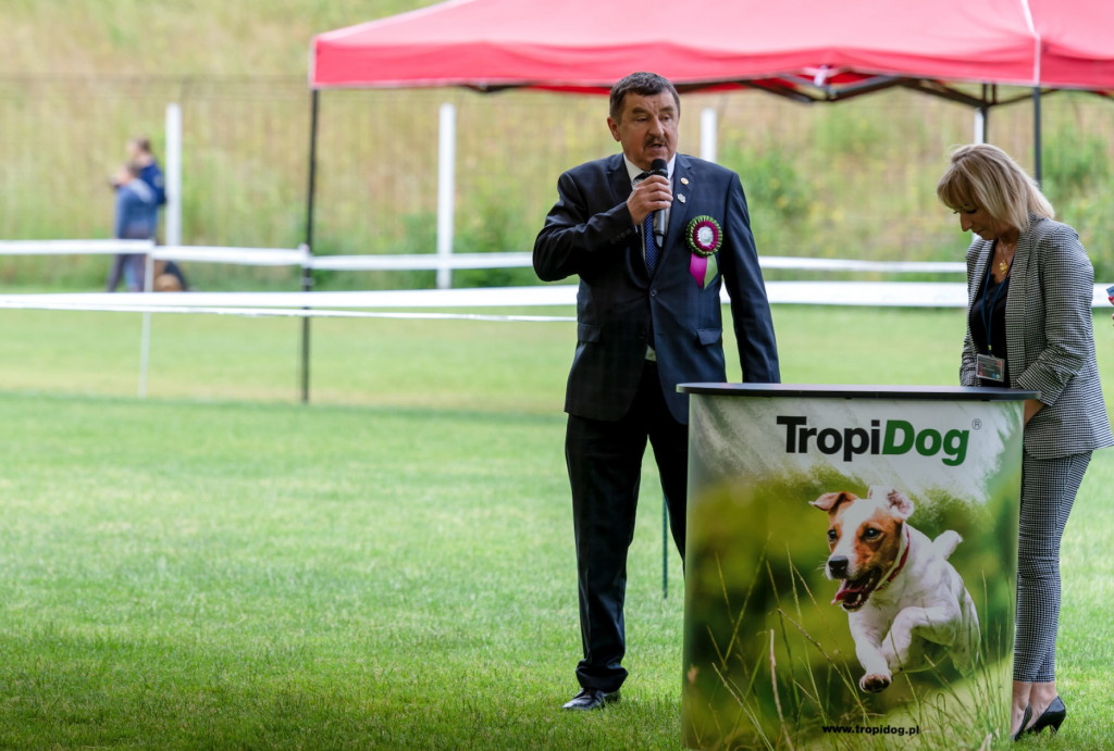 Weekend pod znakiem psów. Spacery i wystawa