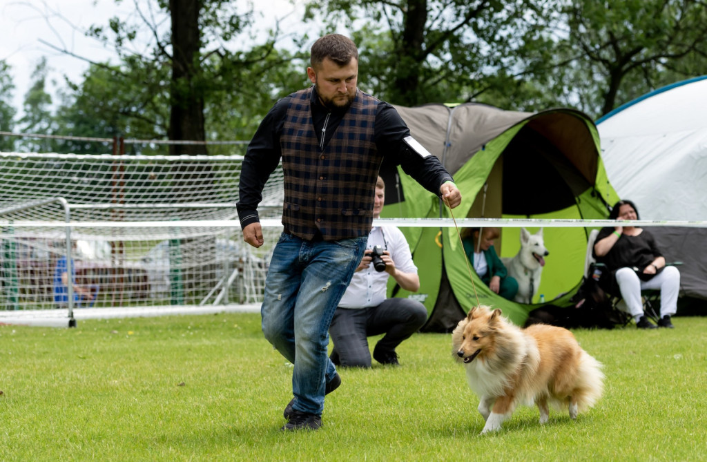 Weekend pod znakiem psów. Spacery i wystawa