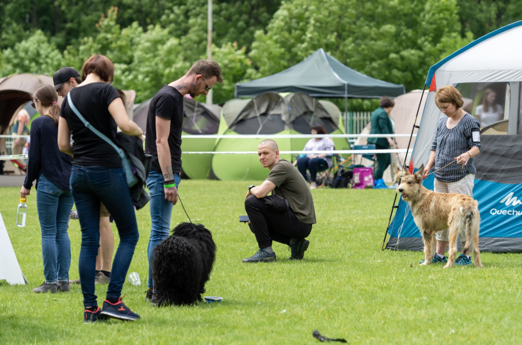 Weekend pod znakiem psów. Spacery i wystawa