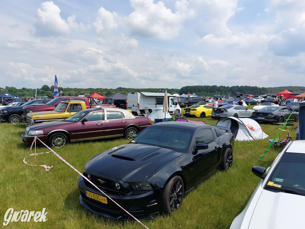 X edycja American Cars Mania [foto]