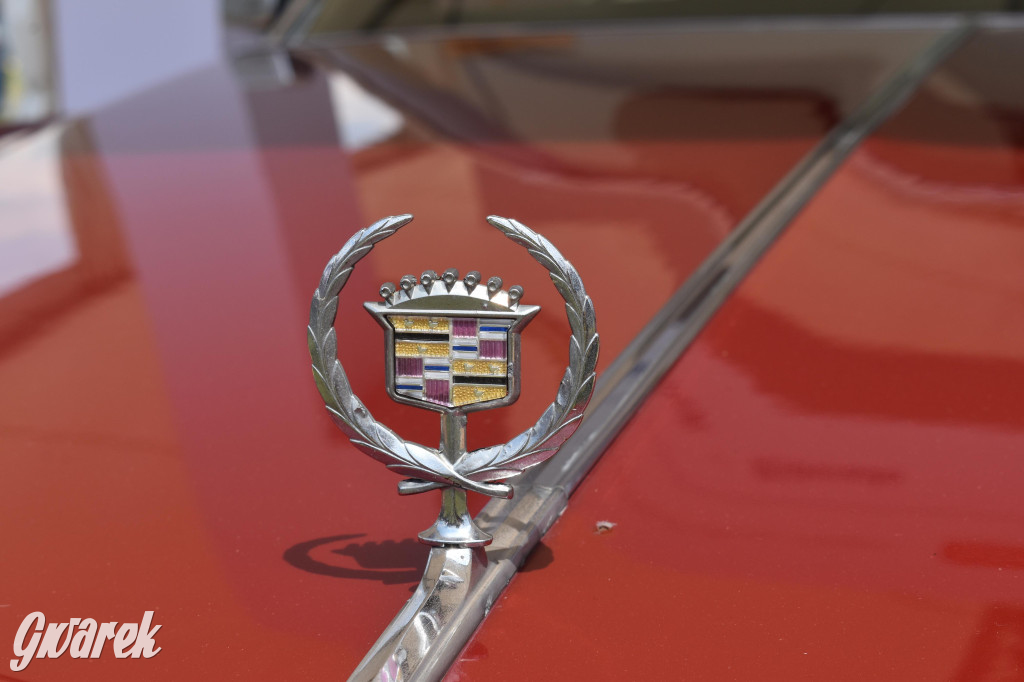 X edycja American Cars Mania [foto]