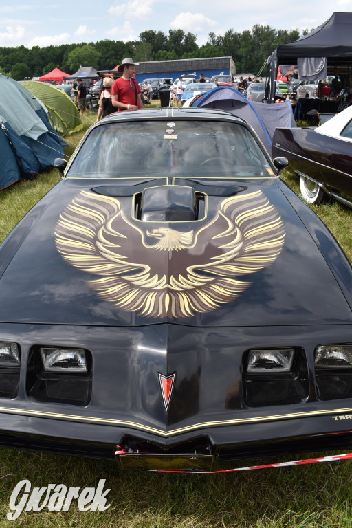 X edycja American Cars Mania [foto]