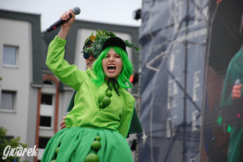 Święto Bytomia 2023. Zobaczcie, jak było [foto]