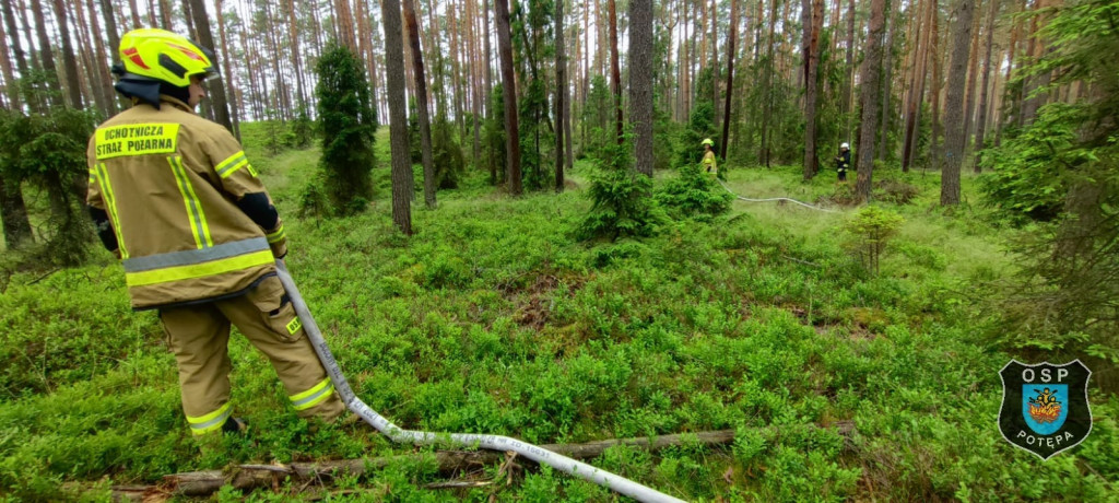 Pożar lasu. Zbiórka przy OSP Florian w Strzybnicy