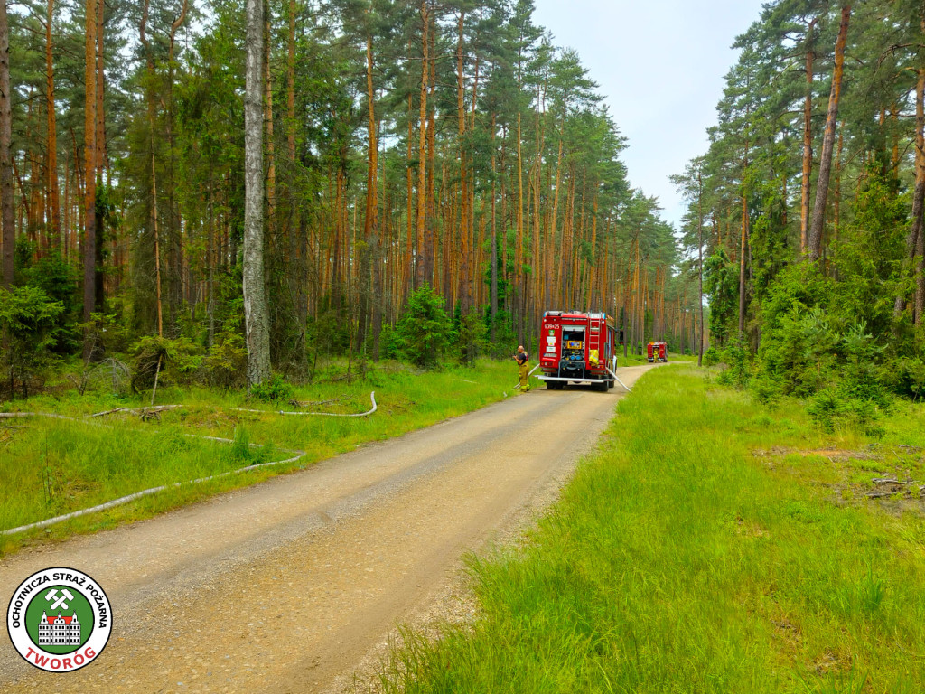 Pożar lasu. Zbiórka przy OSP Florian w Strzybnicy