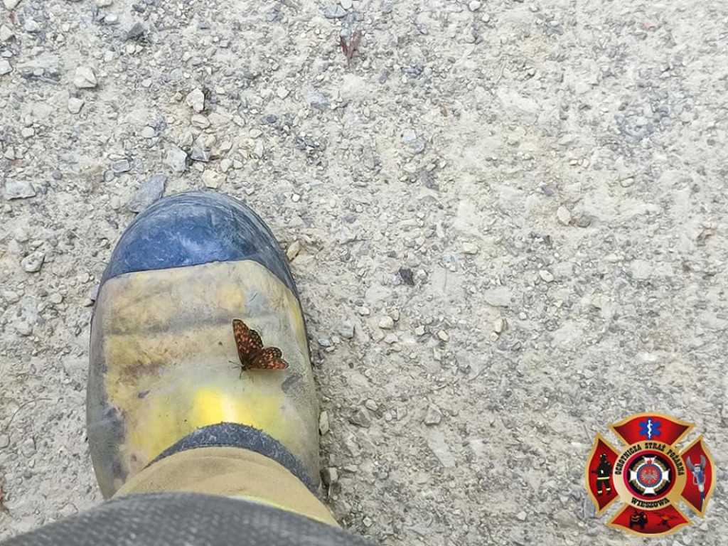 Pożar lasu. Zbiórka przy OSP Florian w Strzybnicy