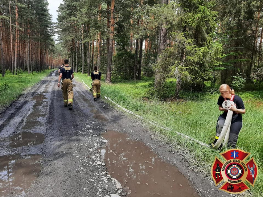 Pożar lasu. Zbiórka przy OSP Florian w Strzybnicy