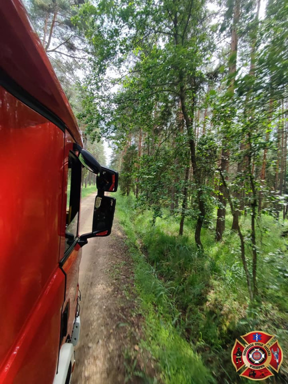 Pożar lasu. Zbiórka przy OSP Florian w Strzybnicy