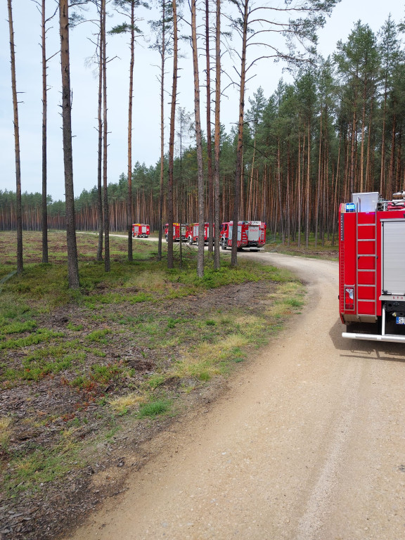 Pożar lasu. Zbiórka przy OSP Florian w Strzybnicy