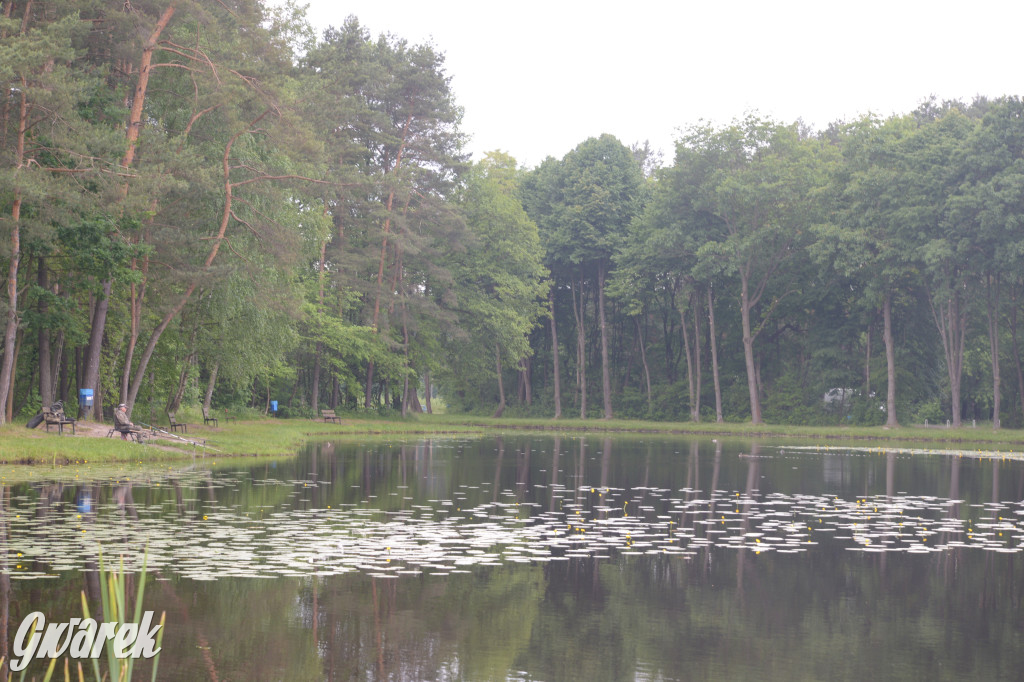 Tarnowskie Góry. Zalew w Pniowcu