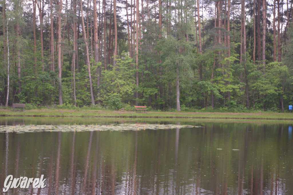 Tarnowskie Góry. Zalew w Pniowcu